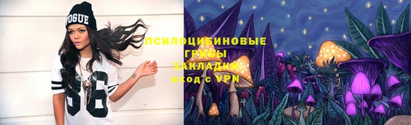 твердый Богородск