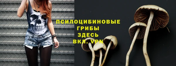 стафф Богданович