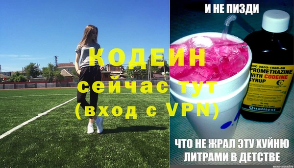 молекула духа Богородицк