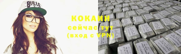 mix Бородино