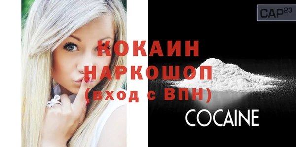 mix Бородино
