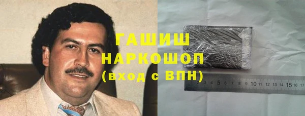 молекула духа Богородицк