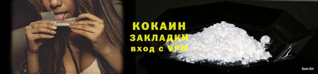 стафф Богданович