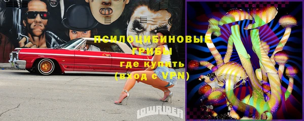 прущие крисы Бугульма