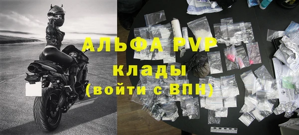 молекула духа Богородицк