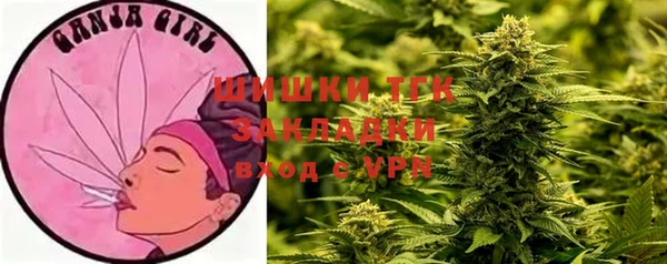 твердый Богородск