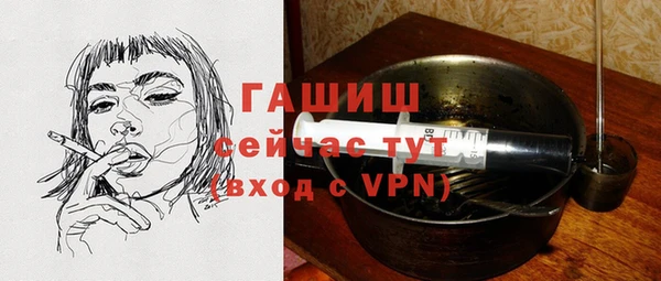 молекула духа Богородицк