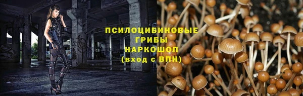 твердый Богородск
